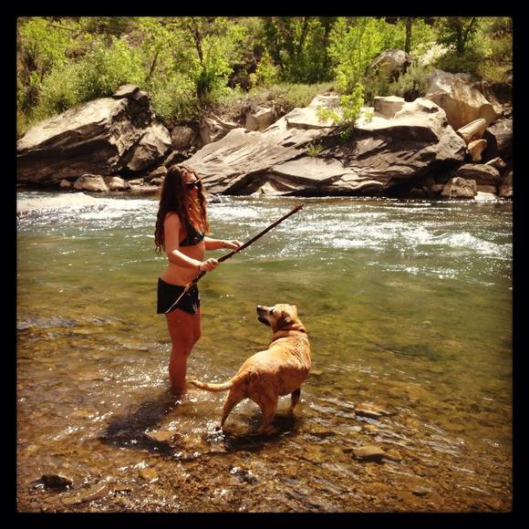 Meet your Posher, Bailey - Picture 1 of 1